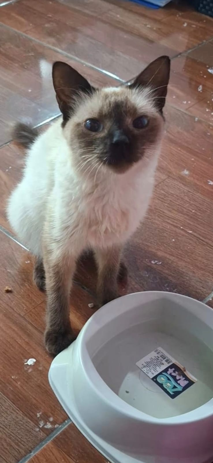Foto de Débora